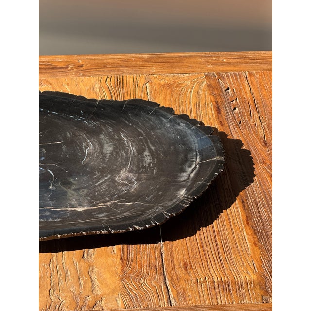 Large Trinket Tray in Black Petrified Wood For Sale - Image 6 of 16