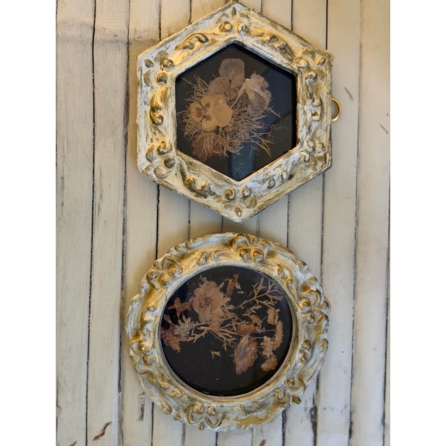 Shabby Chic Vintage Set of Two Botanicals, Framed For Sale - Image 3 of 9