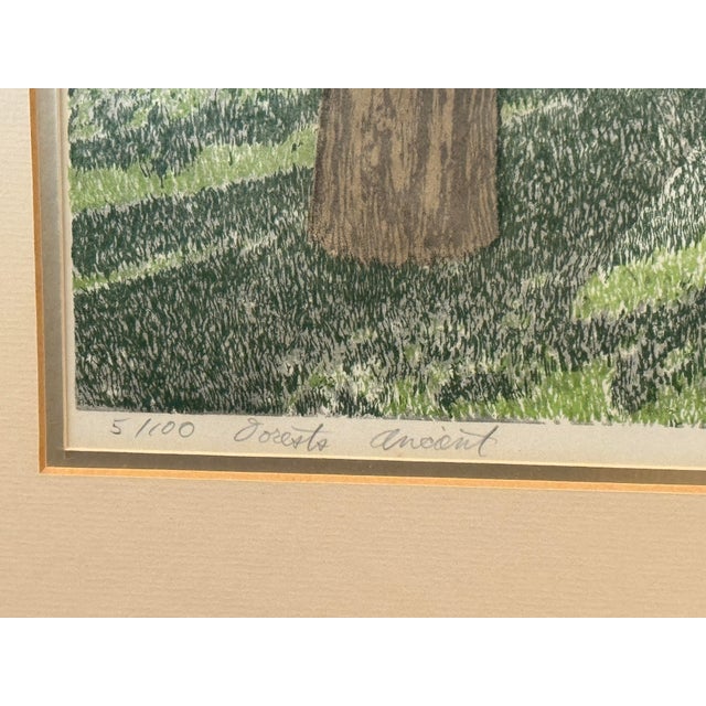 Richard Greene Forests Ancient Limited Print, Circa 1970's For Sale In San Francisco - Image 6 of 11