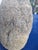 Mid Century Modern Granite Elephant For Sale In Chicago - Image 6 of 6