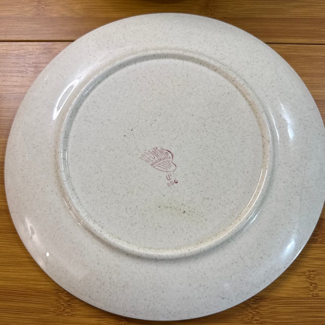 Mid-Century Modern 1950s Mid-Century Modern Red Wing Random Harvest Plates - Set of 11 For Sale - Image 3 of 12