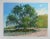 Late 20th Century Impressionist Oak Tree Landscape Painting For Sale - Image 4 of 4