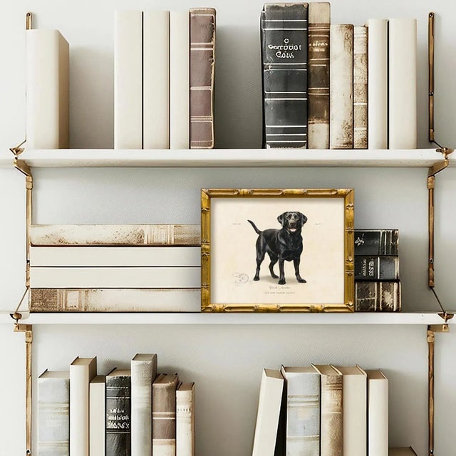 This reproduction print of a Black Labrador is from our vintage "World of Dogs" series. Please note there are many images...