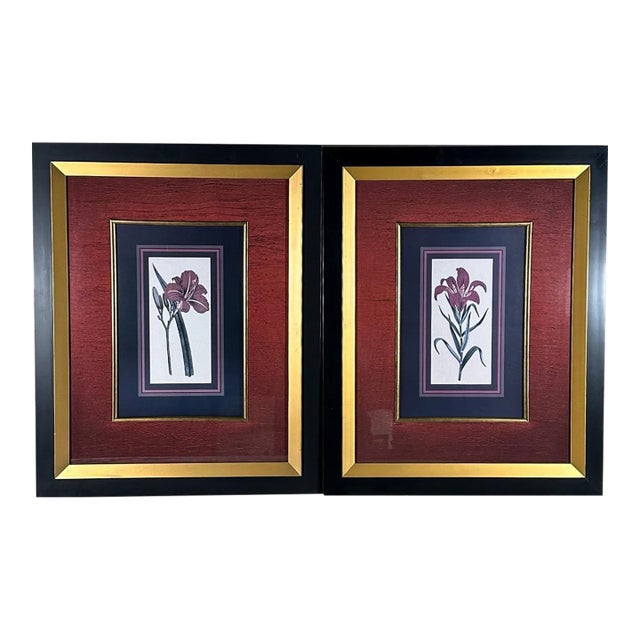 Vintage Framed Stylized Red Lily Botanical Lithograph Prints Pair For Sale