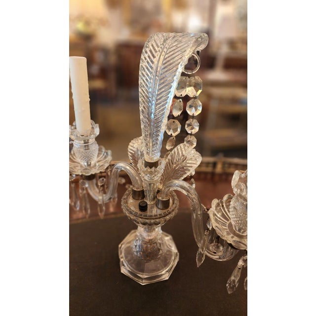 These glass Murano lamps feature an arching epergne, representing a feather topped with a ring supporting a "rope" of...