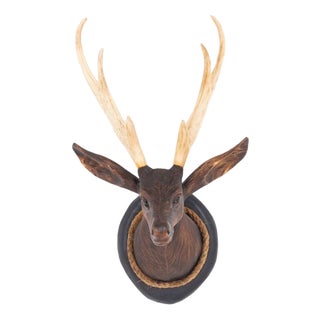 Black Forest Stag's Head, 1920s For Sale