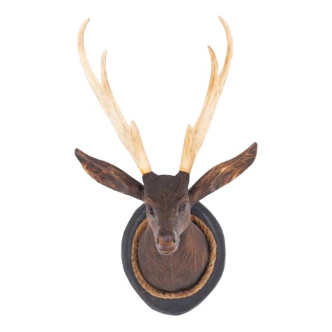 Black Forest Stag's Head, 1920s For Sale