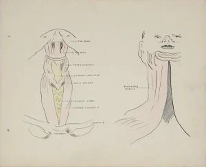 Academic Throat Study 1950s Mixed Media