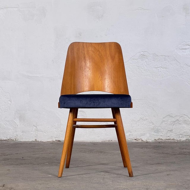 Mid-Century Modern Dining Chairs by Radomír Hofman for Ton, 1960s, Set of 2 For Sale - Image 6 of 14