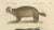 Early 19th Century Brodtmann, Raccoon, Honey Badger & Wolverine, Lithograph, 1816 For Sale - Image 5 of 10