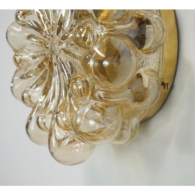 Amber Glass Wall Lights attributed to Helena Tynell for Glashütte Limburg, 1960s, Set of 2 For Sale - Image 10 of 18