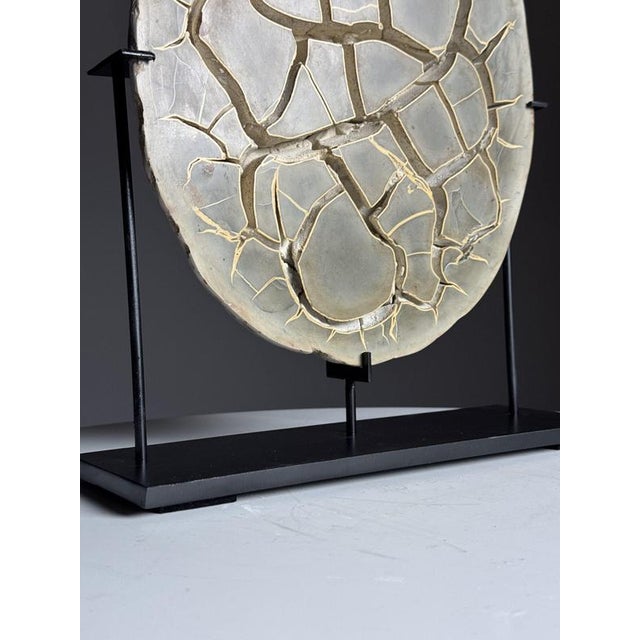 Septarian Nodule on Stand For Sale - Image 4 of 14