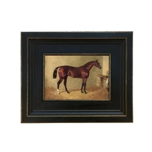 Bay Colt in Stable Framed Oil Painting Print on Canvas in Distressed Black Wood Frame