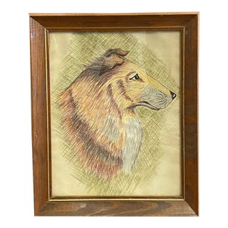 Mid Century Dog Drawing, Framed For Sale