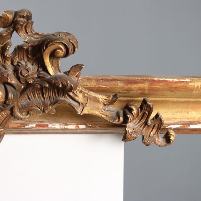 Giltwood Pelmet with Rocaille Carving For Sale - Image 5 of 11