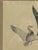 Vintage Framed Waterfowl Bird Print of Flying Ducks, Wildlife Wall Art For Sale - Image 4 of 10