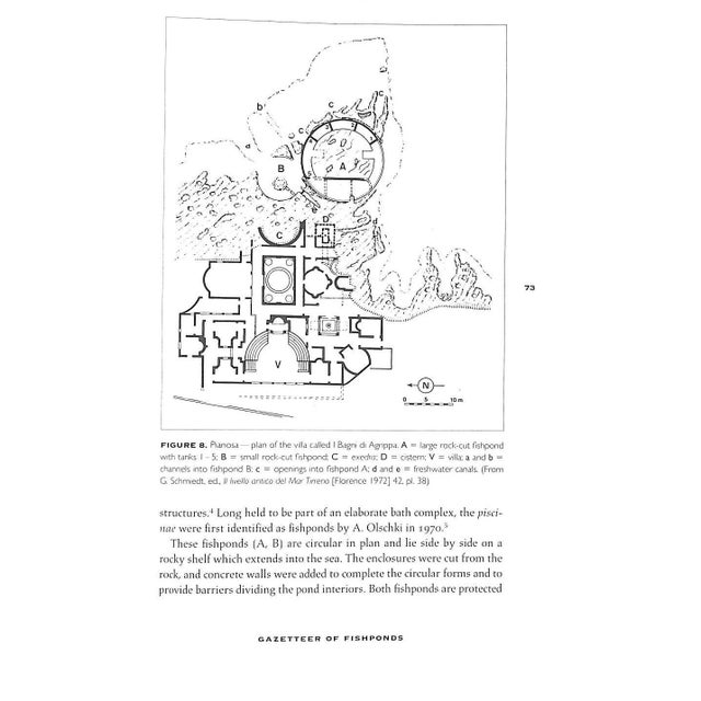 "Piscinae: Artificial Fishponds in Roman Italy" 1997 Higginbotham, James For Sale - Image 11 of 12