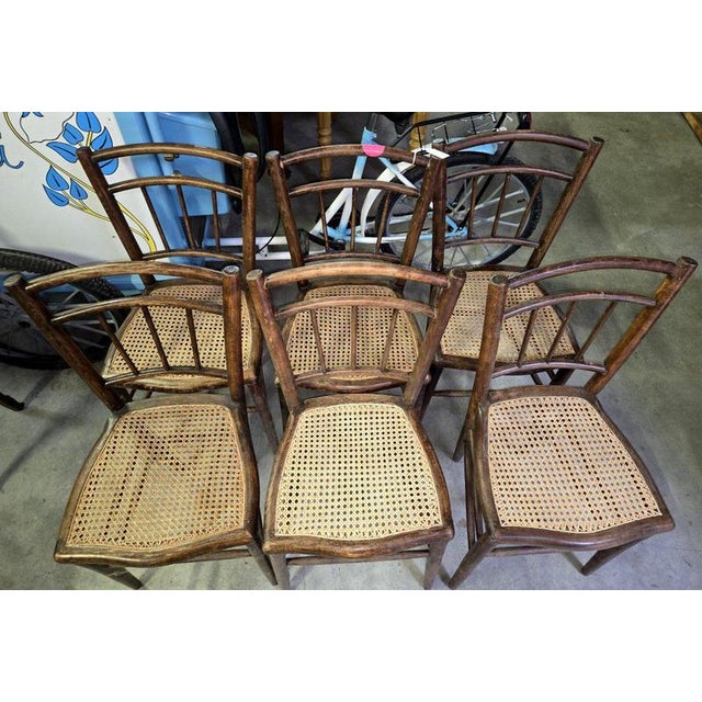 19th Century Napoleon Bentwood Chairs, Set of 6 For Sale - Image 5 of 9