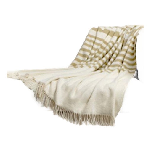 New from D.V. Kap Home, this substantial 70% cotton, 30% poly blend throw is aesthetically refined, amazingly soft, and...