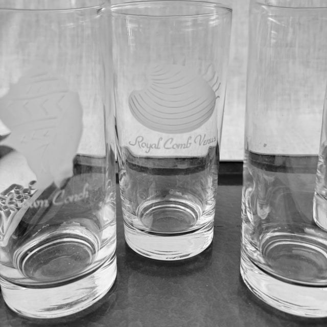 Collection of Tall Glassware With Etched Seashell Designs- Set of 6 For Sale - Image 9 of 10