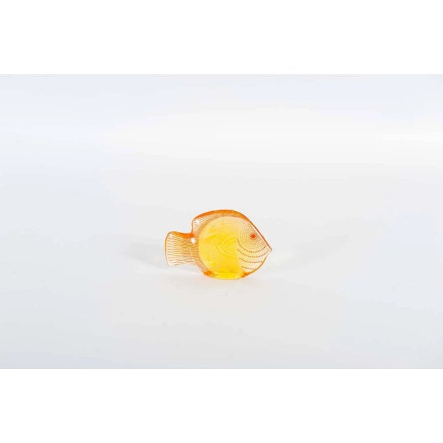 1960s Acrylic Glass Fish by Abraham Palatnik, 1960s, Set of 3 For Sale - Image 5 of 10