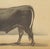 Olivier De Penne, Schwyz Bull, Swiss Brown Cattle, 1863, Chromolithograph For Sale - Image 6 of 9