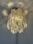 Glass Contemporary "Tronchi" Gold Flush Mount in Venini Style For Sale - Image 7 of 10