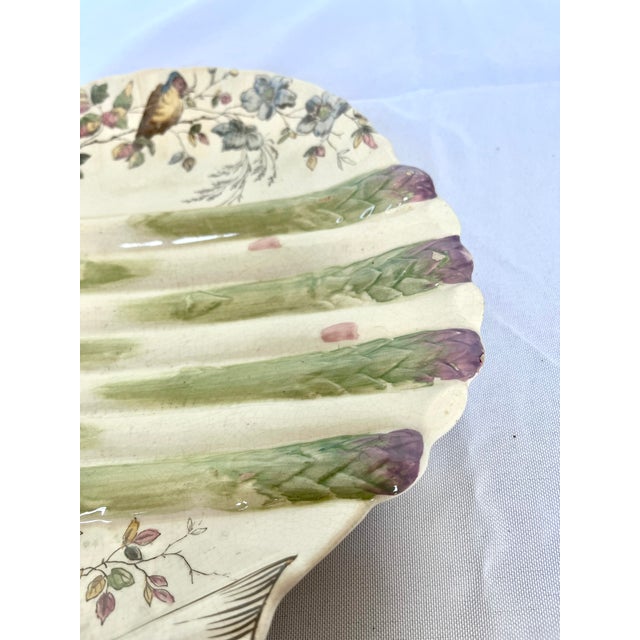 1890s English Majolica Shell Shape Asparagus Plate For Sale In Dallas - Image 6 of 11