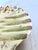 1890s English Majolica Shell Shape Asparagus Plate For Sale In Dallas - Image 6 of 11