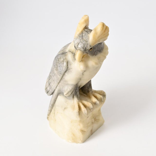 Cream Art Deco Carved Alabaster Sculpture of Cockatoo, 1930s For Sale - Image 8 of 12