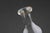 Mid-Century Modern French Absinthe Glass Carafe from La Cressonnée For Sale - Image 3 of 11