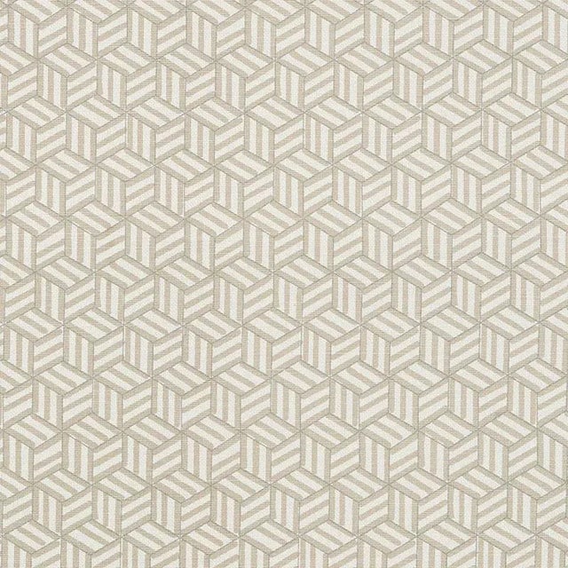 Sample- Schumacher X Miles Redd Tumbling Blocks Fabric in Greige For Sale