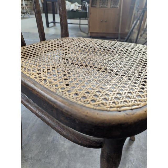 Wood Dining Chairs from Thonet, Set of 4 For Sale - Image 7 of 9