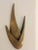 Bronze 1970s Bronze Chrystiane Charles Wall Light For Sale - Image 8 of 9