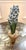 American Tommy Mitchell Tole Potted Hyacinth For Sale - Image 3 of 11