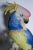 Large Porcelain Cockatoo Parrot by Karl Ens, 1930s For Sale - Image 10 of 11