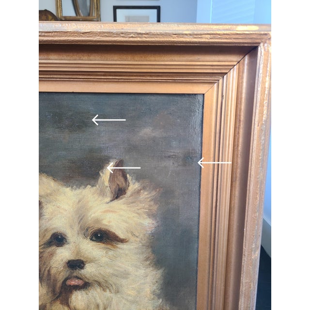 Antique 19th Century Victorian Oil Painting Portrait of a Terrier Dog For Sale - Image 14 of 14