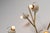 Wall Lamps by Oscar Torlasco for Lumi, Italym 1955, Set of 2 For Sale - Image 9 of 18
