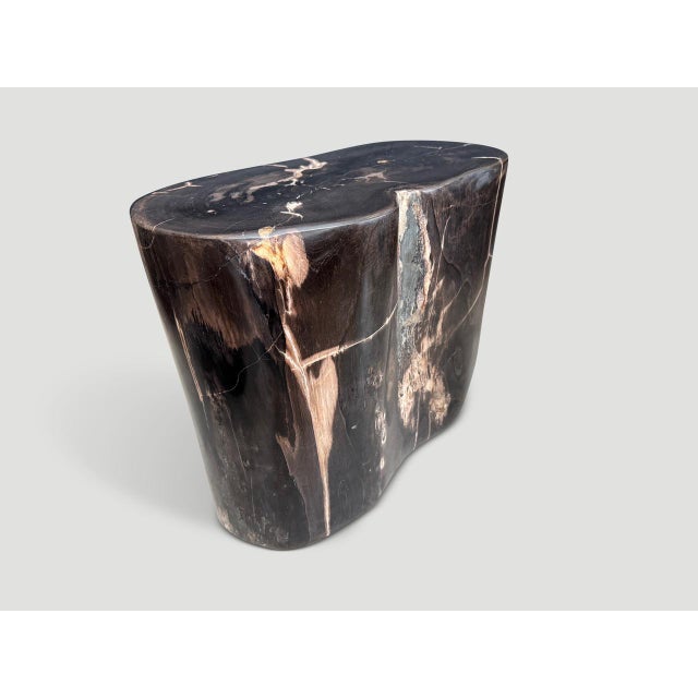 2010s Andrianna Shamaris Impressive Super Smooth Petrified Wood Side Table For Sale - Image 5 of 5