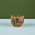Stoneware Table Planter with Black Glaze For Sale - Image 4 of 13