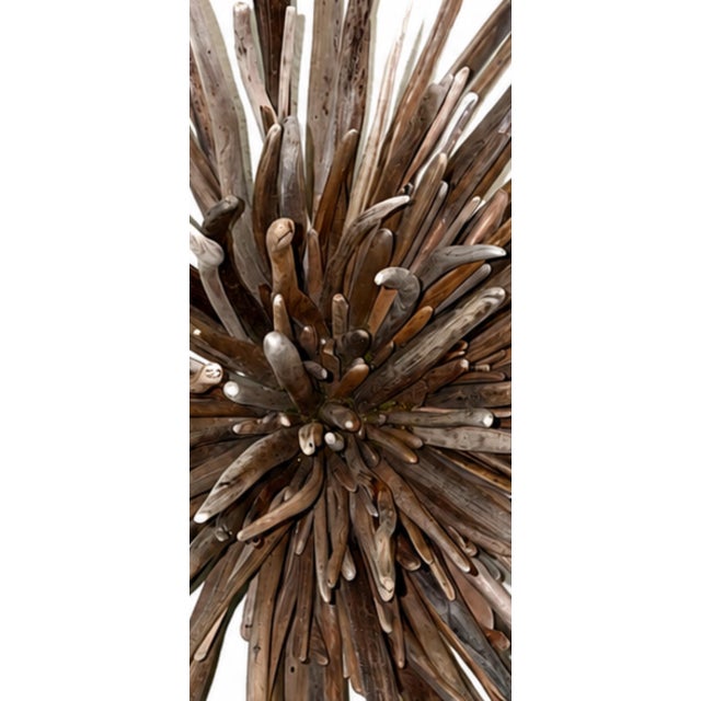 2020s Tideborn Lotus ~Driftwood Sculpture For Sale - Image 5 of 6