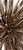 2020s Tideborn Lotus ~Driftwood Sculpture For Sale - Image 5 of 6