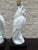 Vintage Hollywood Regency White Ceramic Owl Table Lamps - Pair For Sale - Image 4 of 12
