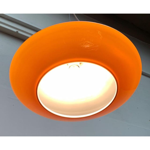 Mid-Century Tulip Glass Pendant Lamp from Peill & Putzler, 1960s For Sale - Image 16 of 18