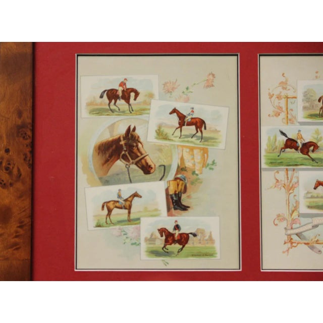 Classic set of six (framed) colour equestrian c1920s cards with (24) racehorses (total)! Image Sz: 16"H x 18 1/2"W