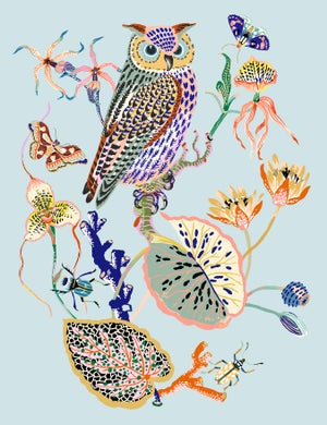 Wondergarden Owl Limited Edition Giclee Print by Sarah Gordon