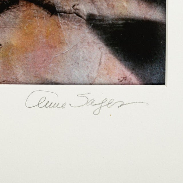 Anne Sager "Trying to Live..." Photograph C-Print For Sale - Image 4 of 7