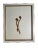 1895 Framed Antique Herbariums, Set of 20 For Sale - Image 10 of 12