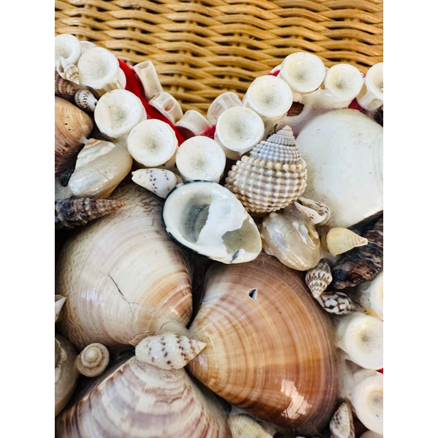 Coastal Vintage Shell Box For Sale - Image 3 of 8