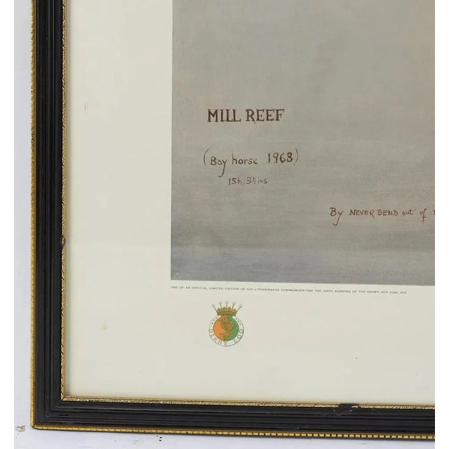 Mill Reef Winner of the Derby Stakes 1971 by Susan Crawford Provenance: The Susie Hilfiger Collection For Sale In New York - Image 6 of 8